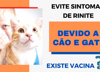 vacina para rinite evitar e controlar sintomas de crises de rinite por animais, cao cachorro gato
